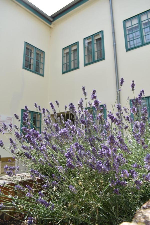 Zsolnay Negyed Vendeghaza Aparthotel Beci Exterior foto